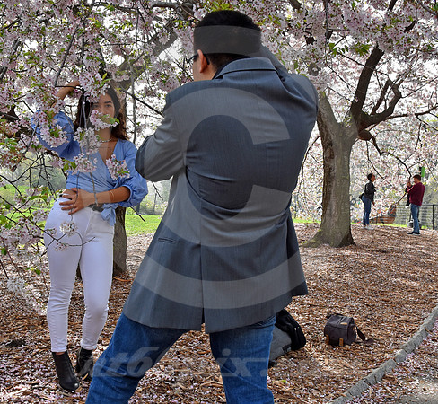 CENTRAL PARK #44 (New York)