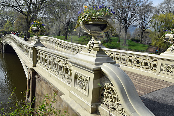 CENTRAL PARK #45 (New York)