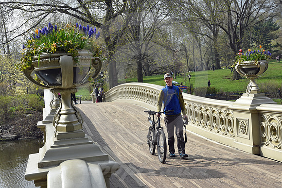 CENTRAL PARK #46 (New York)