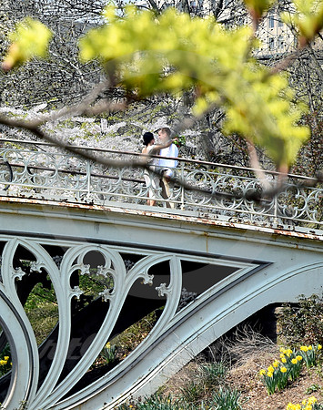 CENTRAL PARK #55 (New York)