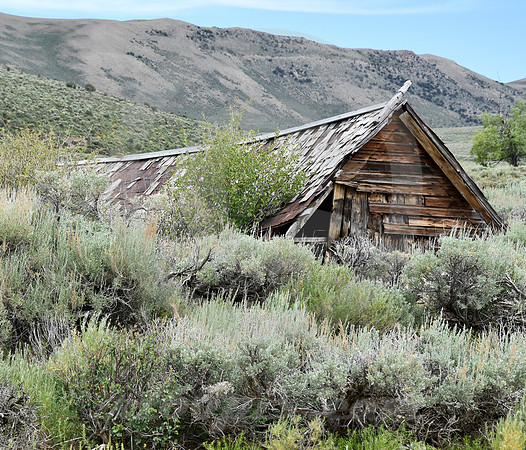 HAMILTON #1 (Lincoln Highway Hamilton NV)