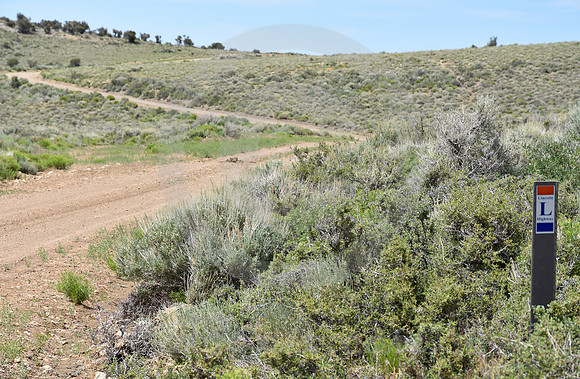 HAMILTON #2 (Lincoln Highway Hamilton NV)