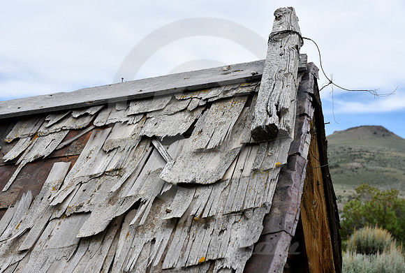 HAMILTON #7 (Lincoln Highway Hamilton NV)