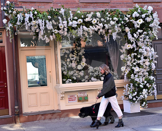 GREENWICH VILLAGE #6 (New York)