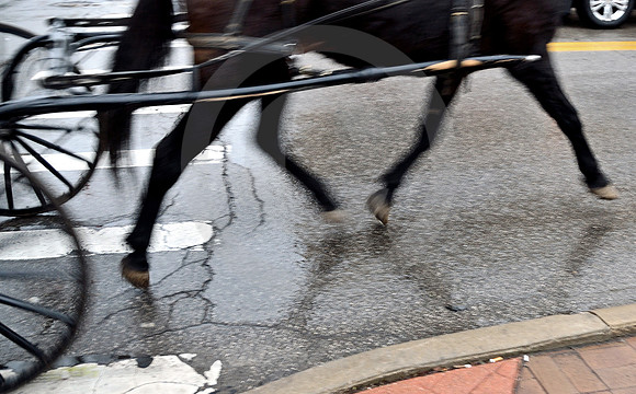 WET HORSE & BUGGY #1 (Lincoln Highway Ashland OH)