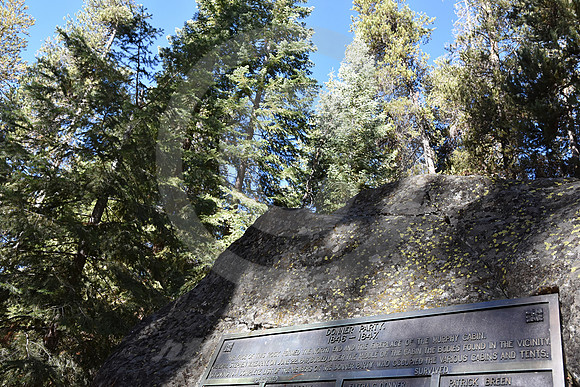 MURPHY CABIN #6 (Donner State Park CA)