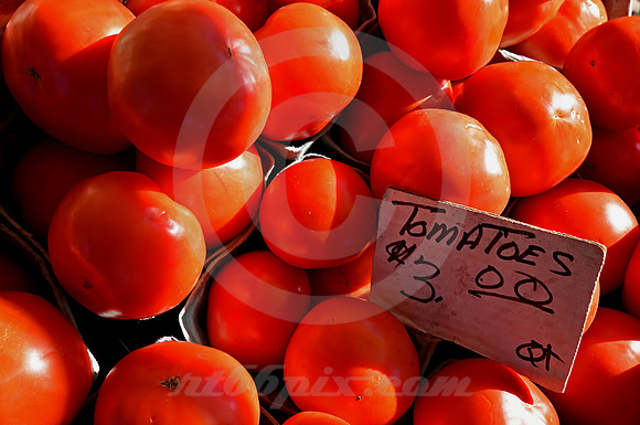 TOMATOES (Erie Canal Palatine Bridge NY)