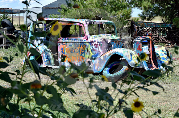 SUNFLOWERS & SEDAN (Rt 66 Conway TX)