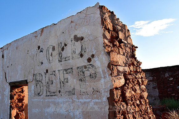 SURVIVOR (Rt 66 Montoya NM)