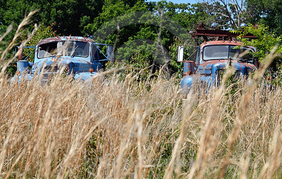 MACK TRUCKS IN FIELD (Rt 66 MO)
