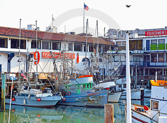 FISHERMANS WHARF #18 (Lincoln Highway San Francisco)