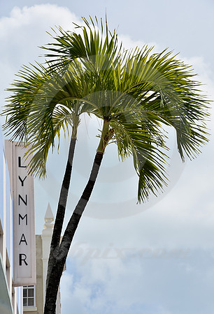 MIAMI BEACH #8 (Miami Beach FL)