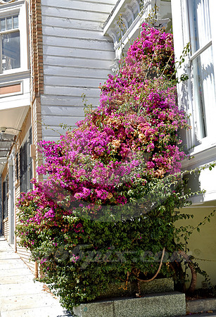 ARCHITECTURAL DETAIL #12 (Lincoln Highway San Francisco)