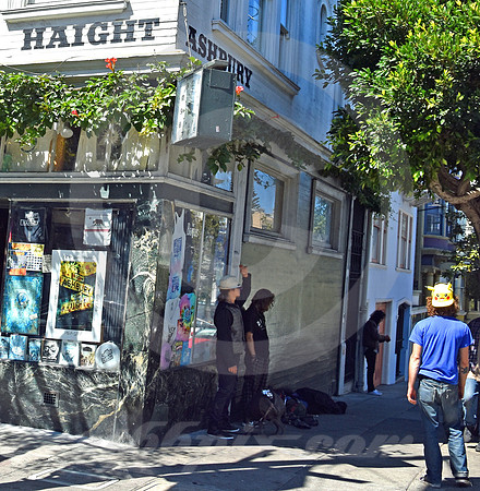 HAIGHT ASHBURY #55 (Lincoln Highway San Francisco)