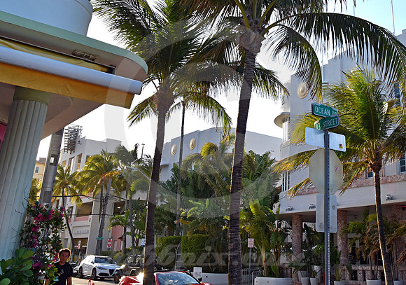MIAMI BEACH #127 (Miami Beach FL)
