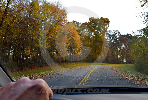 DAWN IN AUTUMN (Natchez Trace nr Linton TN)