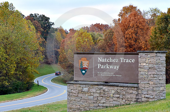 BURGUNDY #2 (Natchez Trace nr Linton TN)
