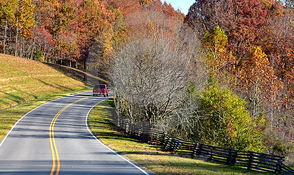 DISAPPEARING ACT (Natchez Trace nr Linton TN)