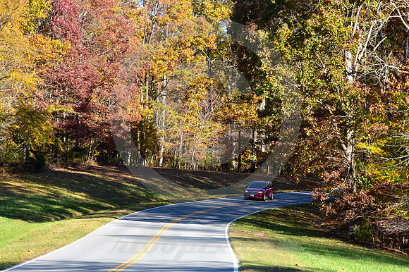AUTUMN #2 (Natchez Trace nr Linton TN)