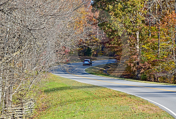AUTUMN #4 (Natchez Trace nr Linton TN)