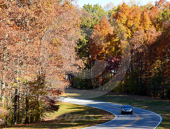 DAYTIME LIGHTS (Natchez Trace nr Linton TN)