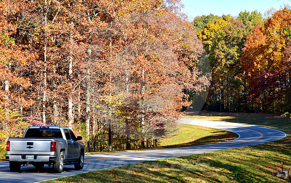 CHEVY TRUCK (Natchez Trace nr Linton TN)