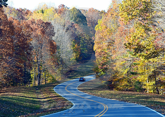 DISAPPEARING ACT #2 (Natchez Trace nr Linton TN)