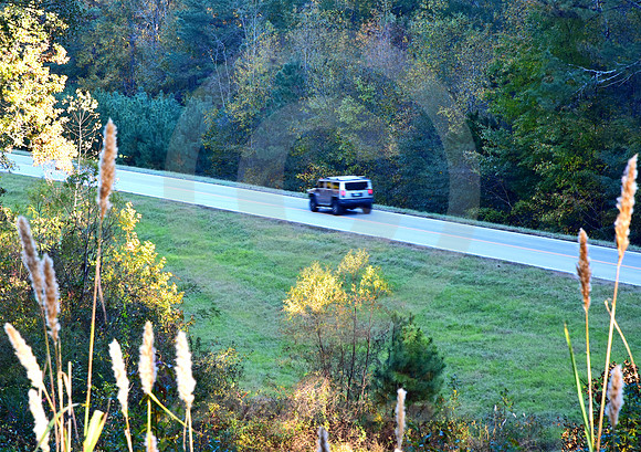 HUMMER (Natchez Trace nr Linton TN)