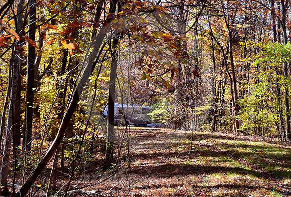 OLD TRACE & NEW RV (Natchez Trace nr Leiper's Fork TN)