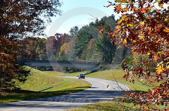OVERPASS #1 (Natchez Trace nr Shady Grove TN)