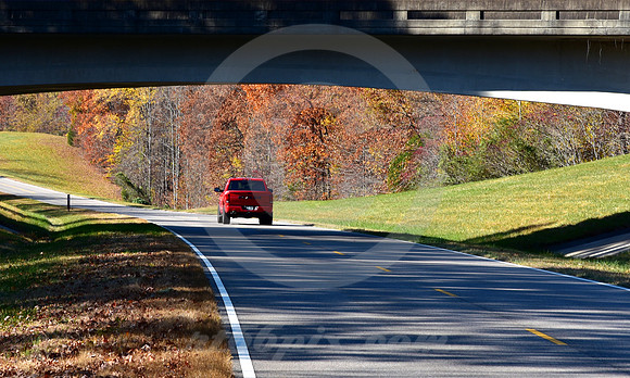 OVERPASS #2 (Natchez Trace nr Shady Grove TN)