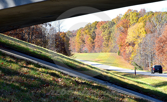 OVERPASS #4 (Natchez Trace nr Shady Grove TN)