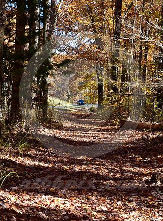 ONCOMING TRAFFIC (Natchez Trace nr Shady Grove TN)