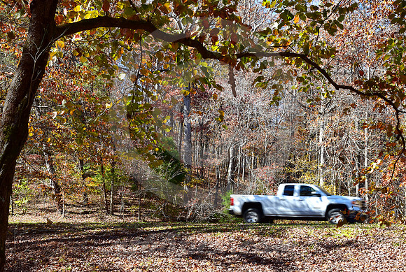 WHITE PICKUP (Natchez Trace nr Waynesboro TN)