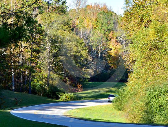 DISAPPEARING MINIVAN (Natchez Trace nr Tishomingo MS)