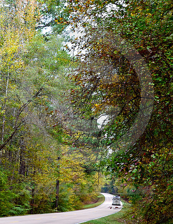 HORSE TRAILER (Natchez Trace nr Tishomingo MS)