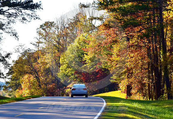 VW ON CURVE (Natchez Trace nr Tishomingo MS)