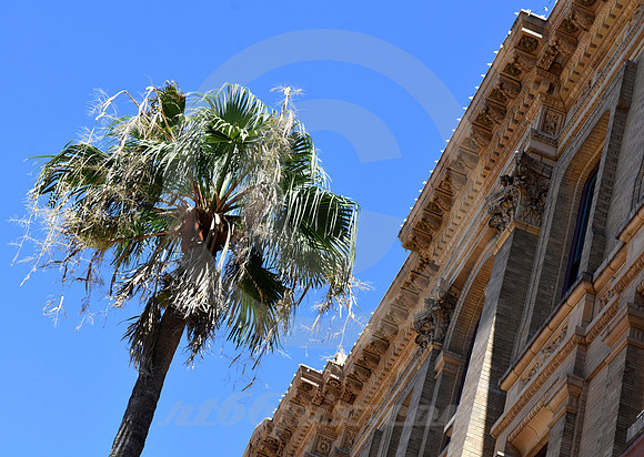 STRAND SCENE #16 (Galveston TX)