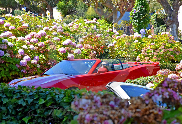 LOMBARD ST #2 (Lincoln Highway San Francisco)