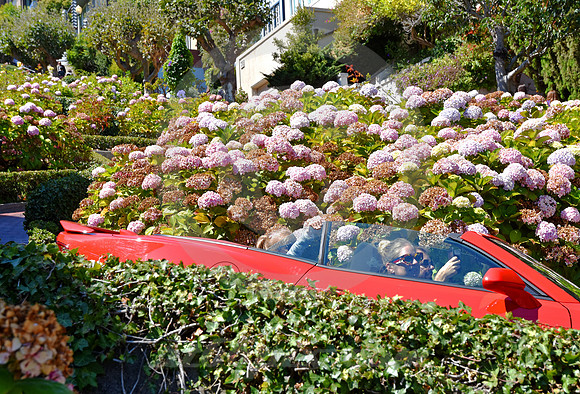 LOMBARD ST #3 (Lincoln Highway San Francisco)