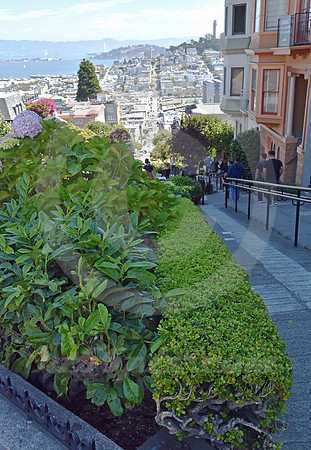 LOMBARD ST #16 (Lincoln Highway San Francisco)