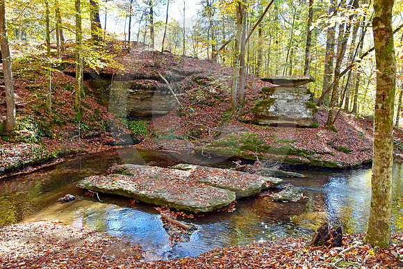 GLENROCK BRANCH #5 (Natchez Trace nr Collinwood TN)