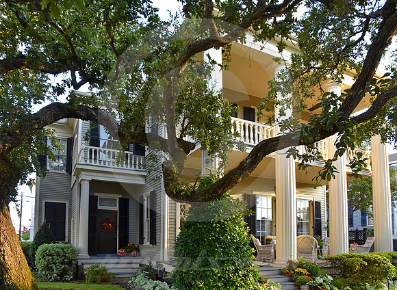HISTORIC DISTRICT #39 (Galveston TX)