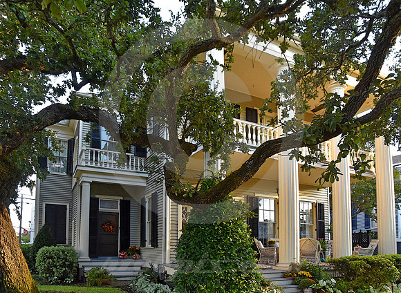 HISTORIC DISTRICT #50 (Galveston TX)