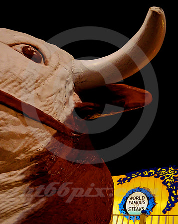 THE MASCOT (Rt 66 Amarillo TX)