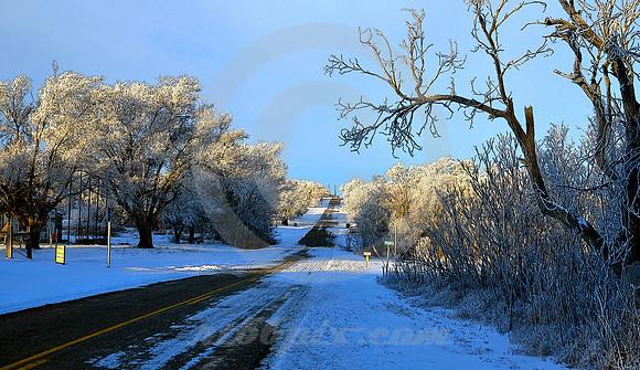 WINTER ON 66 (Rt 66 Alanreed TX)