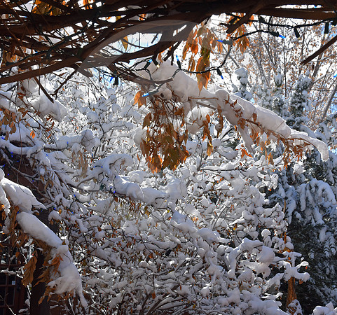 WINTER #181 (Rt 66 Santa Fe NM)
