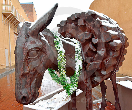BURRO #4 (Rt 66 Santa Fe NM)