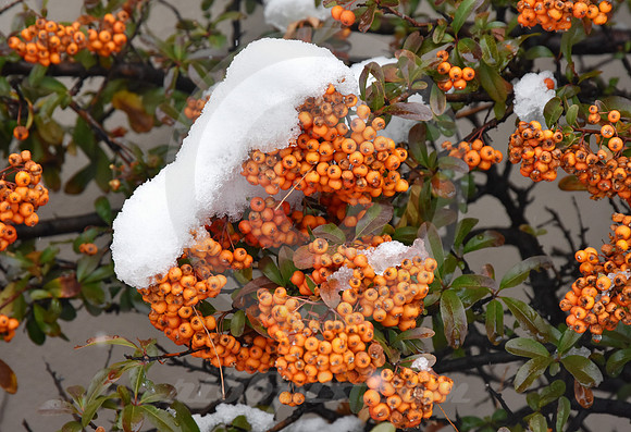 WINTER #249 (Rt 66 Santa Fe NM)