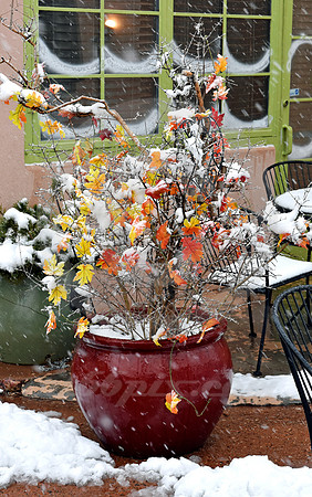 WINTER #250 (Rt 66 Santa Fe NM)